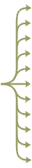 arrows11.gif (887 bytes)