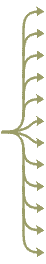 arrows12.gif (977 bytes)