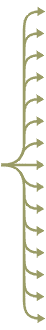 arrows_15.gif (1380 bytes)